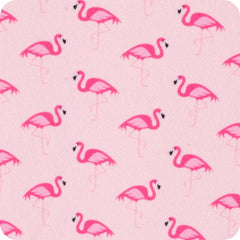 Flamingos Can Coolie